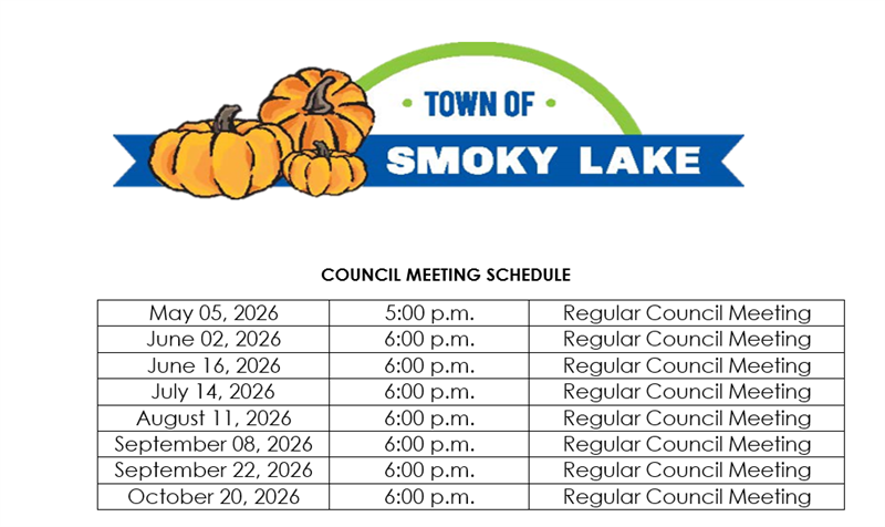 Council Meeting