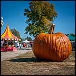 pumpkin-fair.jpg
